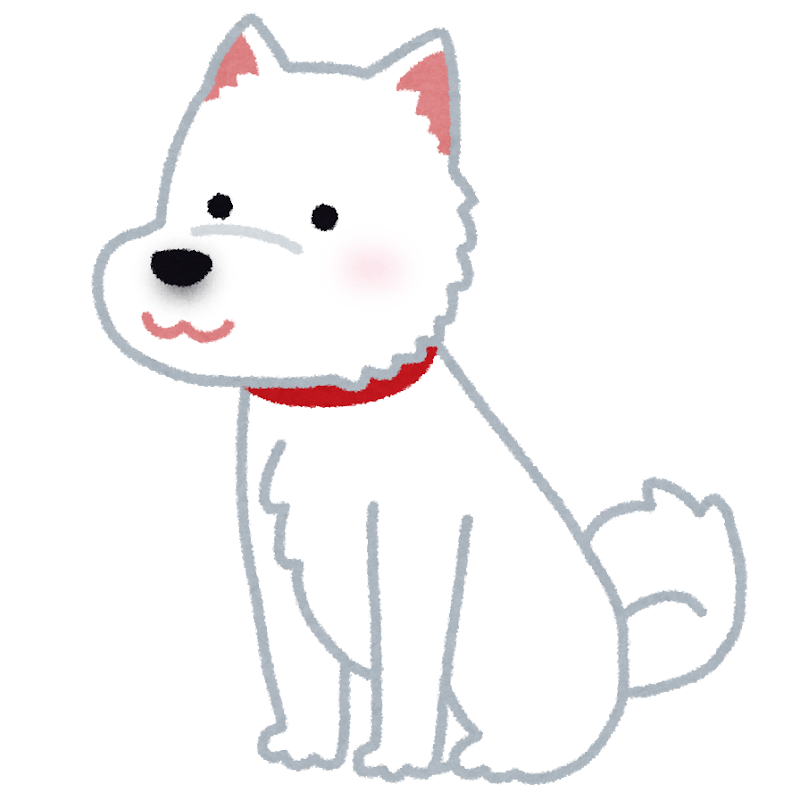 白い北海道犬のイラスト